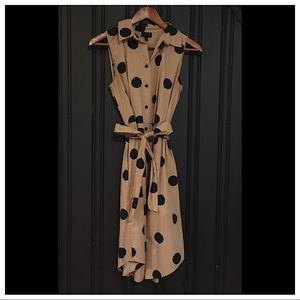 Polka Dot Dress- Who What Wear